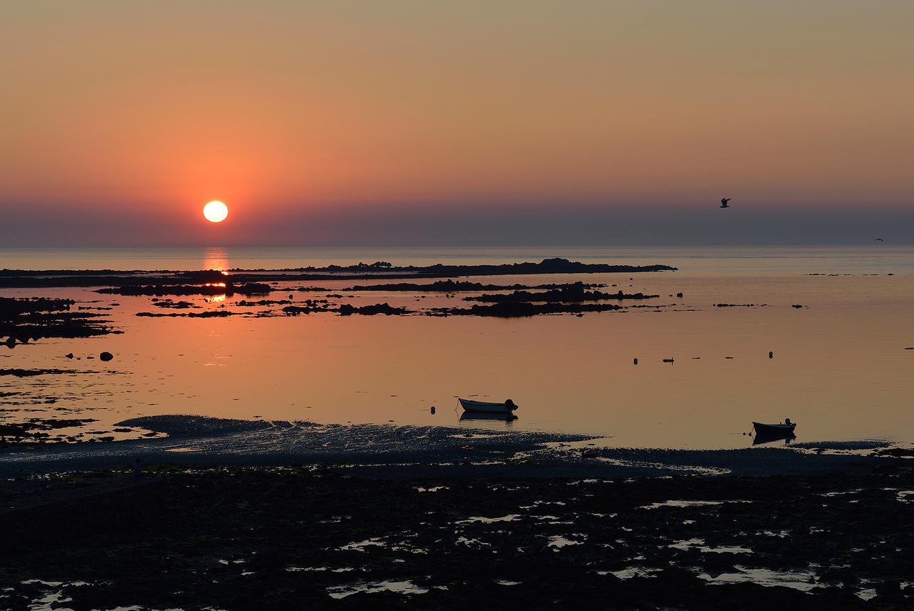 Driftwood Inn Saint Saviour Faciliteiten foto